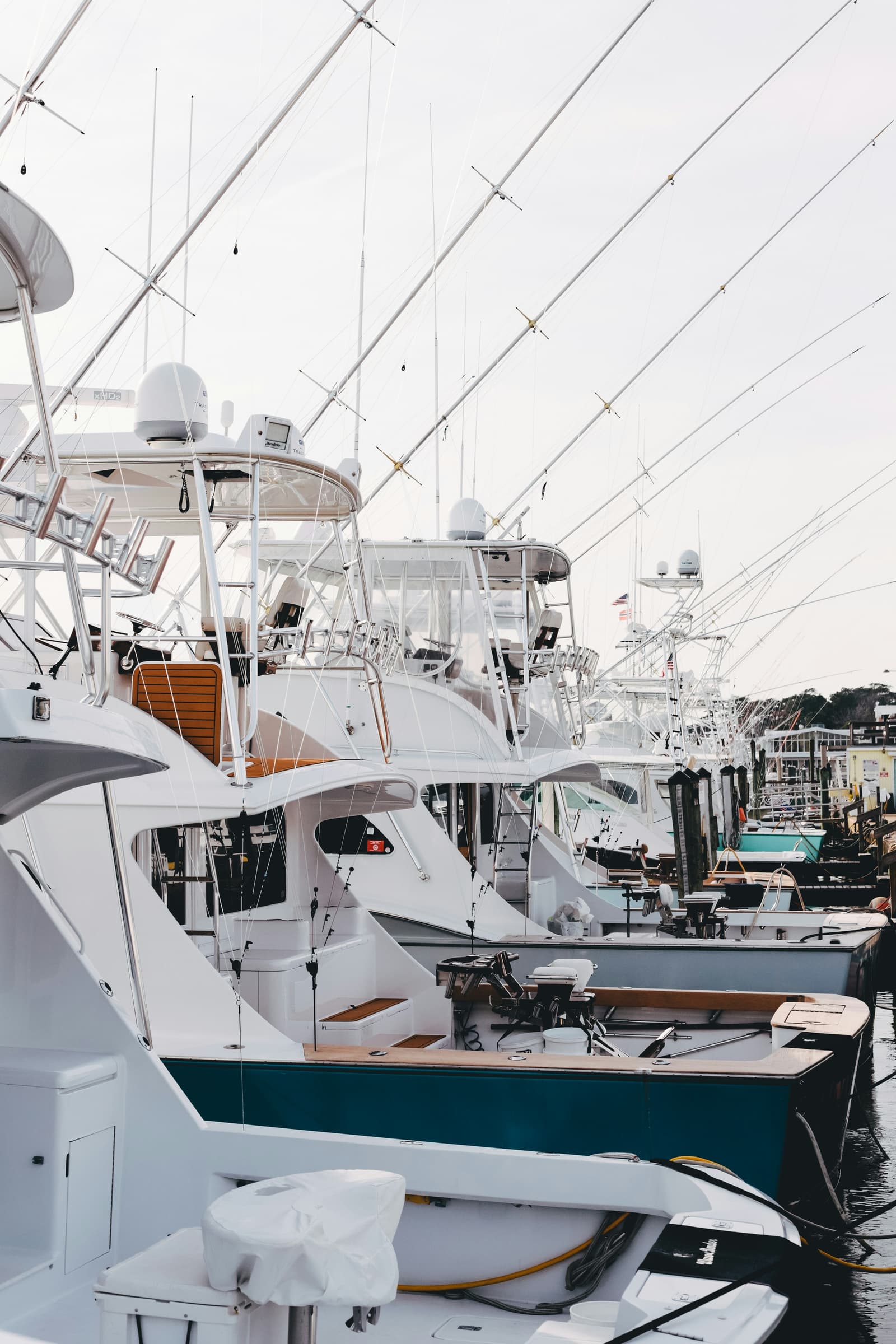 Fishing charter boats docked at a marina