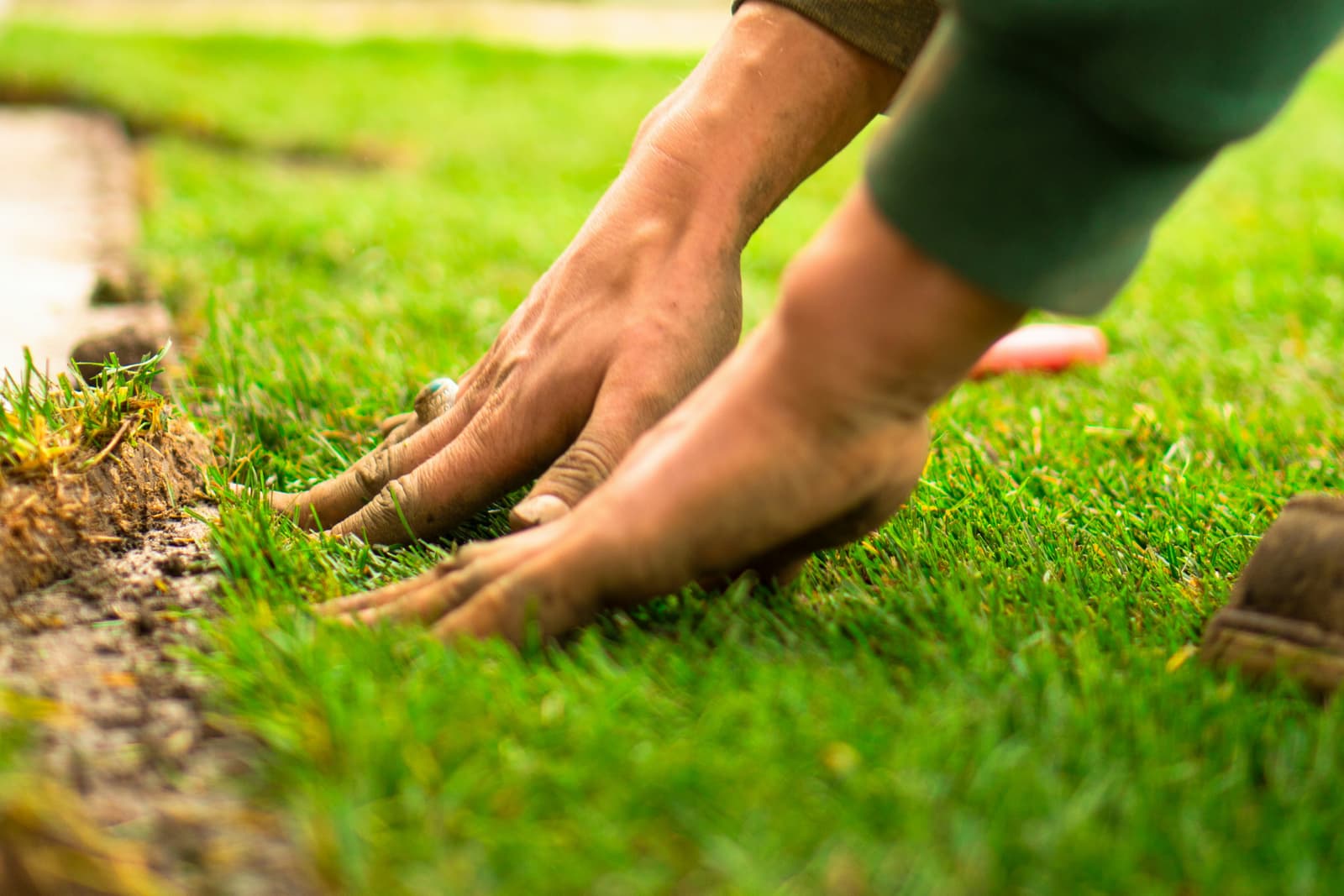 Close-up of hands laying fresh sod on prepared soil