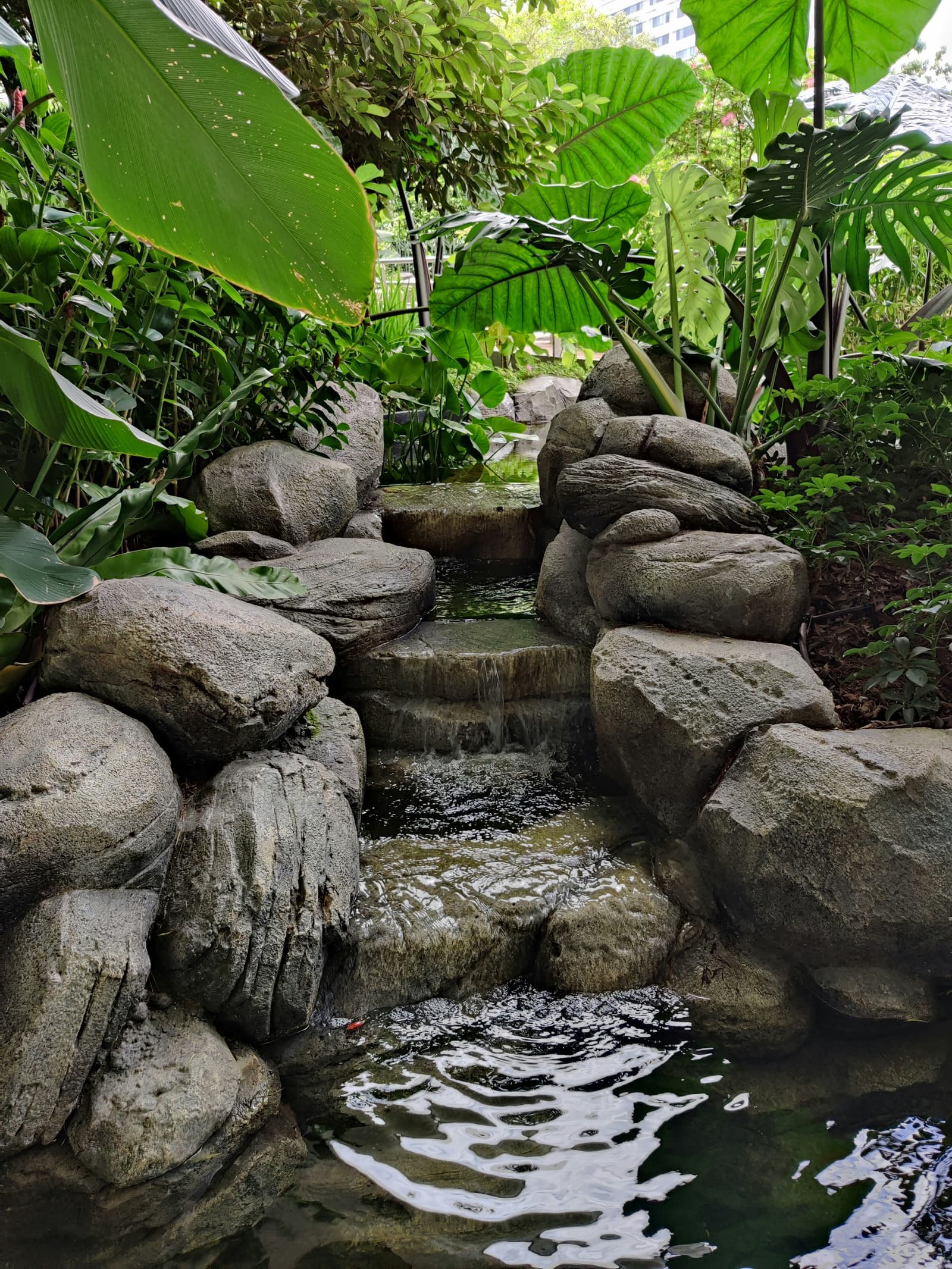 Natural rock water feature with lush tropical plants