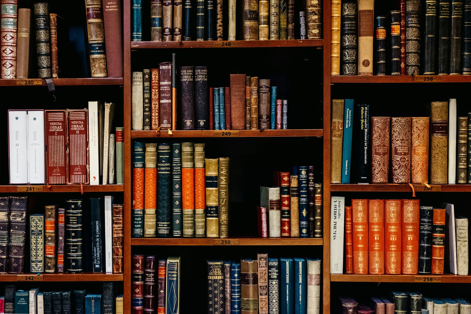 Colorful shelves of legal books in a law library